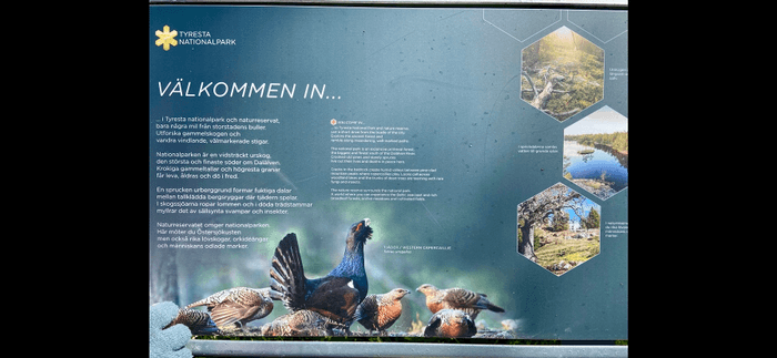 Idyllisk Skärgårdsstuga med milsvid havsutsikt - Bild 27