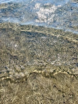 Sommaroas nära havet - Bild 18