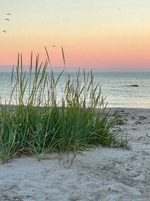 Stuga vid Össby med havsutsikt och enskilt läge - Bild 28