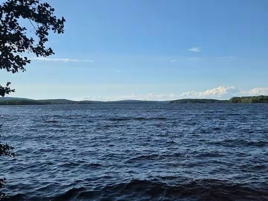 Ljusne – röd stuga med trädgård & sjönära läge - Bild 24