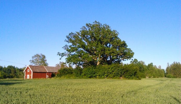 Mysigt hus nära havet, Kalmarsund - Bild 23
