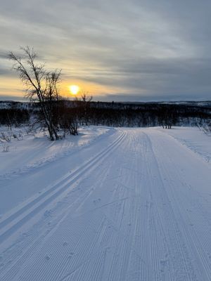 Stor fjällstuga i Bruksvallarna - Bild 28