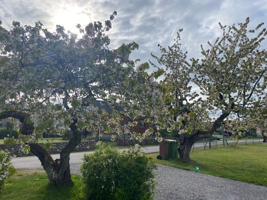 Luftig minivilla och smart planerad attefallare - Bild 4