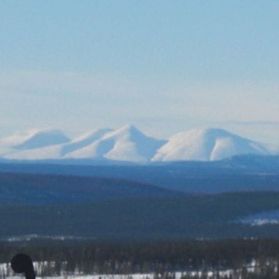 Utsikt från altanen