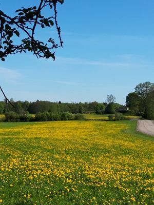Naturskön och lantlig idyll mellan sjöar. - Bild 28