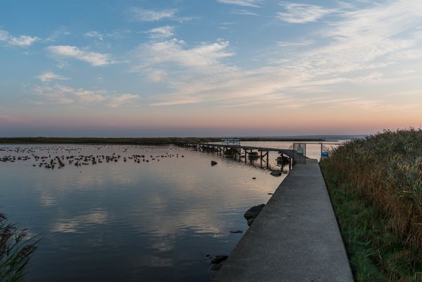 Morgondoppet - Bild 34