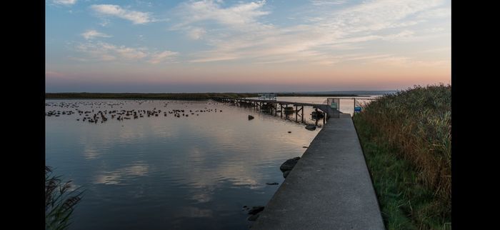 Morgondoppet - Bild 26