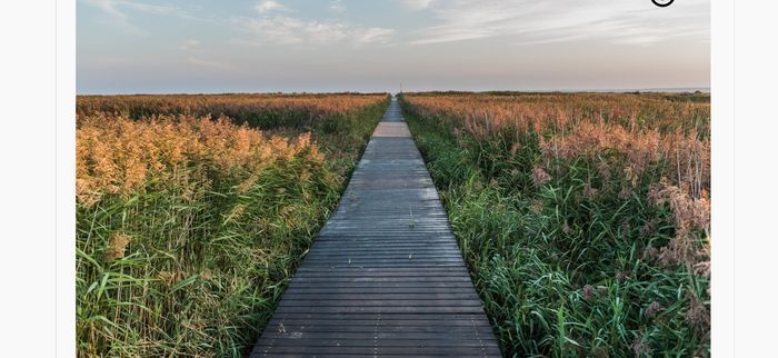 Morgondoppet - Bild 35