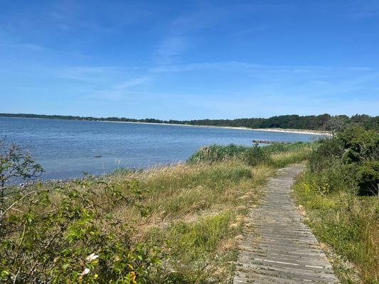 Stuga utanför Löttorp, norra Öland. - Bild 21