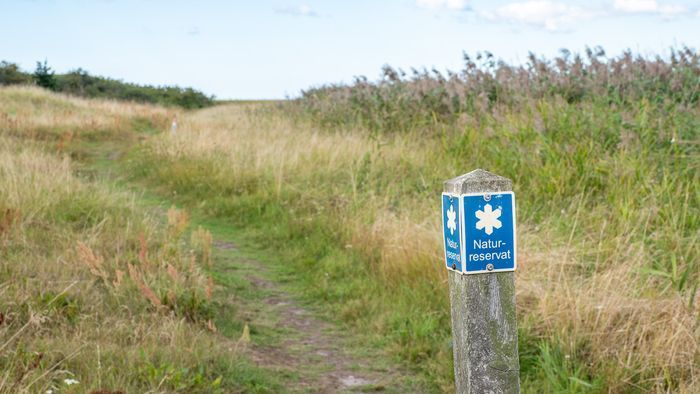 Morgondoppet - Bild 40