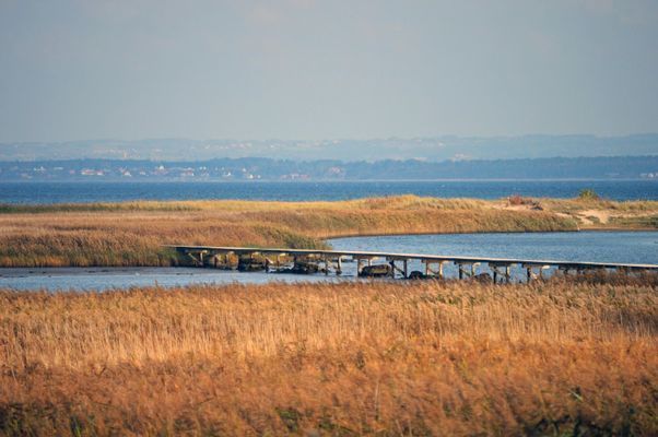 Morgondoppet - Bild 41