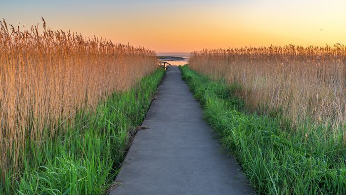 Morgondoppet - Bild 28