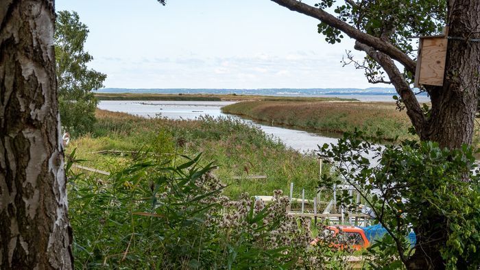 Morgondoppet - Bild 43