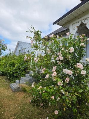 Vackert hus i Mölle; uthyres - Bild 19