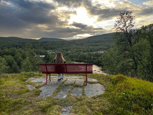 Fin stuga i Bruksvallarna - skiin/out - Bild 17