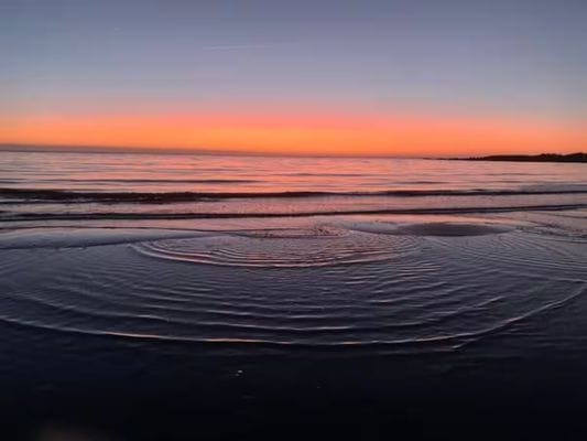 Bo i Läjet strandnära - Bild 14