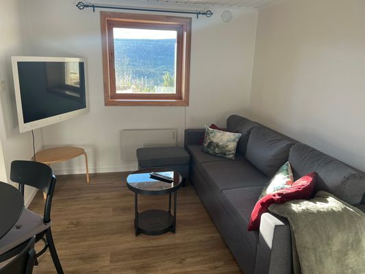 Ski In - Ski Out Edsåsdalen - Bild 12