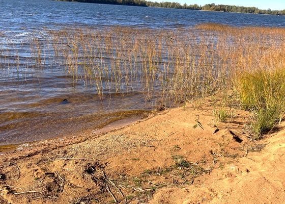 Privat paradis intill sjö. - Bild 15