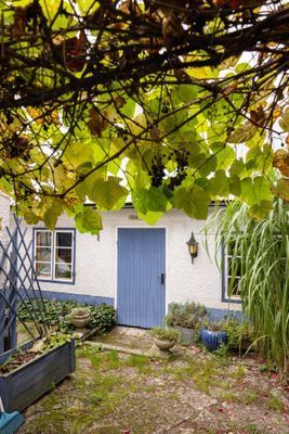 Mysig Häxbo i Kräklingbo på Channel 1 gård - Bild 3