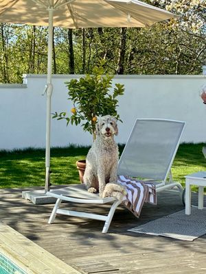 Havsnära poolvilla på Österlen - Bild 5