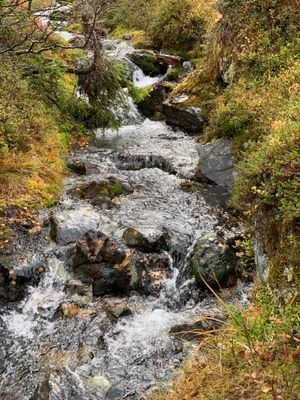 Härlig timmerstuga med ski in/ski out - Bild 17