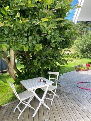 Fin och bekväm villa i Göteborgs skärgård |SE08031 - Bild 5