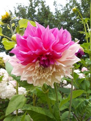 Naturskön och lantlig idyll mellan sjöar. - Bild 43