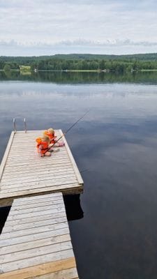Nyrenoverad stuga med egen brygga - Bild 32