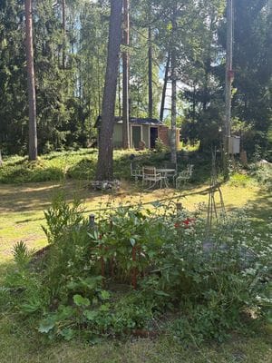 Ombyggt kapell – skogstomt med egen bastu - Bild 6