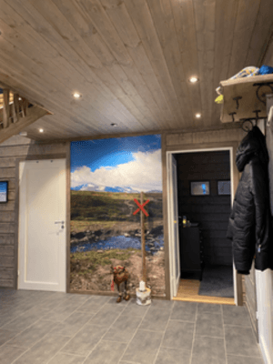 Mysig fjällstuga med härlig utsikt - Bild 7