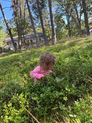 Sommarstuga vid sjön på Vindö - Bild 15