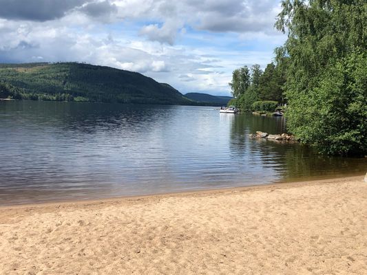 Trivsam stuga nära skog, sjö och stränder - Bild 10