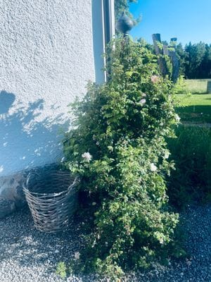 Råmarbo - Bild 9