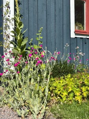 Mysigt hus i kyrkby nära Vänern - Bild 60