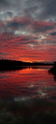 Mysigt sommarhus vid sjön i Småland - Bild 41