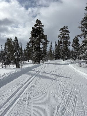 Mysig stuga vid Vargen Vemdalsskalet - Bild 5
