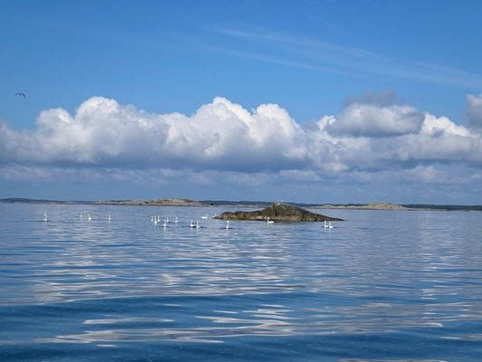 Otrolig skärgård