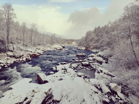 Mysig fjällstuga i vacker fjällmiljö - Bild 6