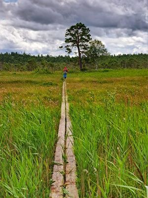 Naturskön och lantlig idyll mellan sjöar. - Bild 35
