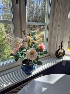Charmigt semesterhus nära Höga Kusten – natur, lug - Bild 26