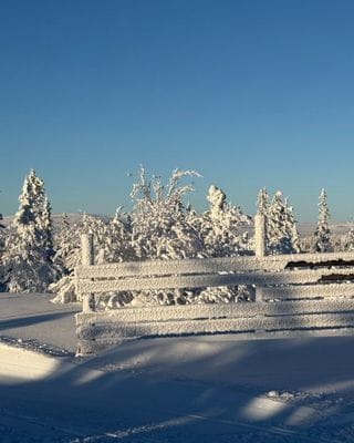 VILLA SKALSVALLEN, Skalets torg, inomhusbordtennis - Bild 122