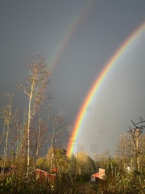 Mysig stuga med lantligt läge - Bild 8