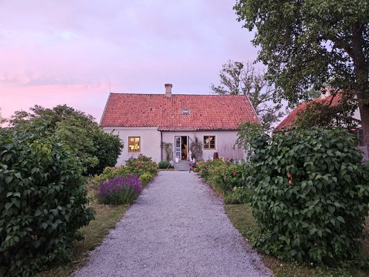 Charmigt Gotlandshus i vacker miljö - Bild 21