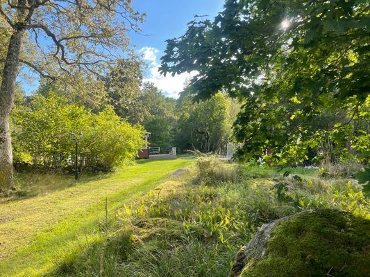 Söt stuga i härliga Roslagen - Bild 16