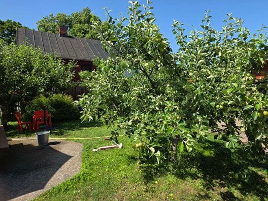 Lilla Nyborgs Annex/Gårdshus i centrala Borgholm - Bild 13
