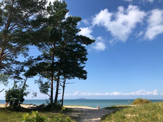 Stranden vid Byrums raukar