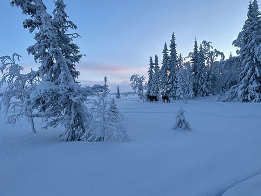Lilla Lugnet - Storsjö Kapell - Bild 15