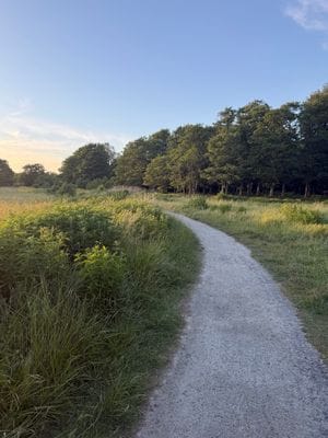 Välkommen till vår trivsamma sommarstuga i Tredenb - Bild 33