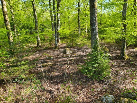 Stuga Soldattorp Byggd 2014 - Bild 4