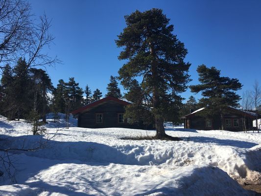 Stor stuga Påskveckan ski in–ski out. OBS 8 dagar!